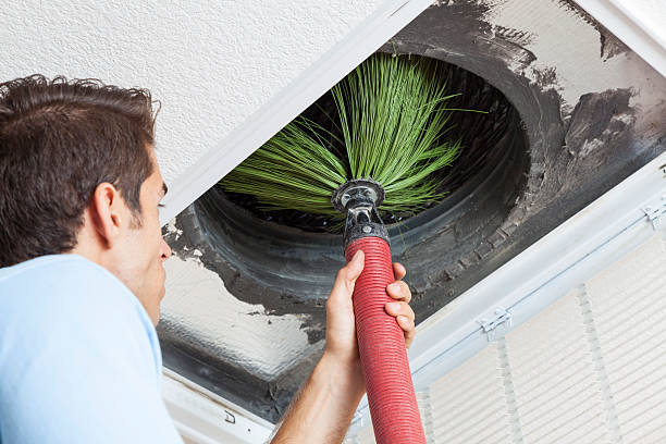 Best Emergency Air Duct Cleaning  in Wallace, FL